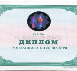 Диплом Техникума Украины 2005г в Брянске